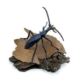 Yujin：原色日本昆虫図鑑Ⅰ