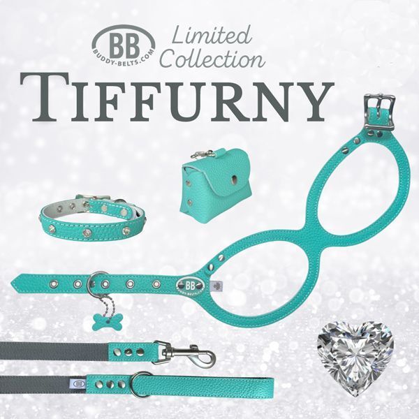 バディーベルト ハーネス 1号 ロビンズエッグブルー Robin's Egg Blue