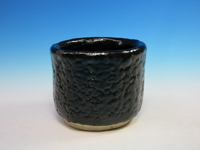 古谷道生 信楽焼 酒器 ぐい呑 合わせ箱 直しあり 古谷道生 信楽焼 酒器