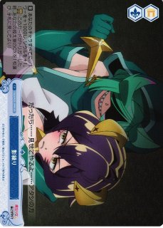 新品ボックス]ヴァイスシュヴァルツロゼ ブースターパック『魔法少女に