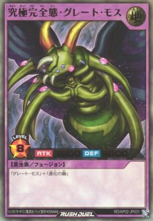 70726f647563742f79676f72645f61