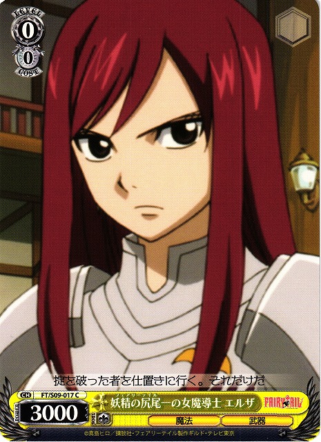 WS 戦いの外の日々 エルザ SSP WS 戦いの外の日々 エルザ SSP Weiss