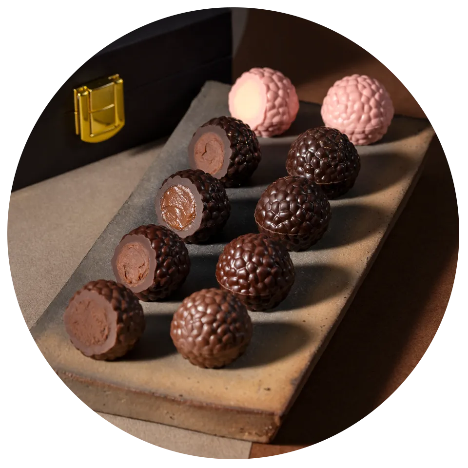 スター シェフ コレクション ジュエル オブ ジ アース ｜2026