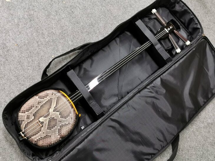 ヘビ革 三味線本体 namigoman.jpg