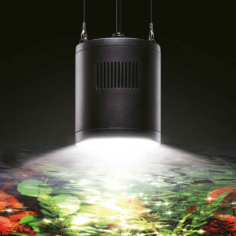 2025-07 GEX aquarista Clear LED RADIUS（ラディアス） / 2025グッド