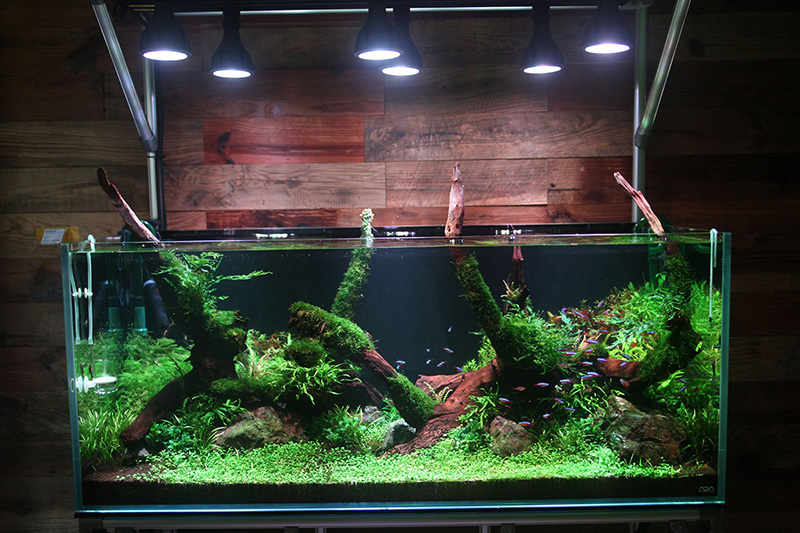 Helios Aqua LED HA-20 / 株式会社JPP | GOOD AQUARIUM Design Award