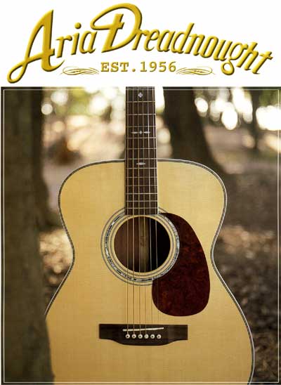 Aria Dreadnought アコースティックギター セットAF-25N Aria