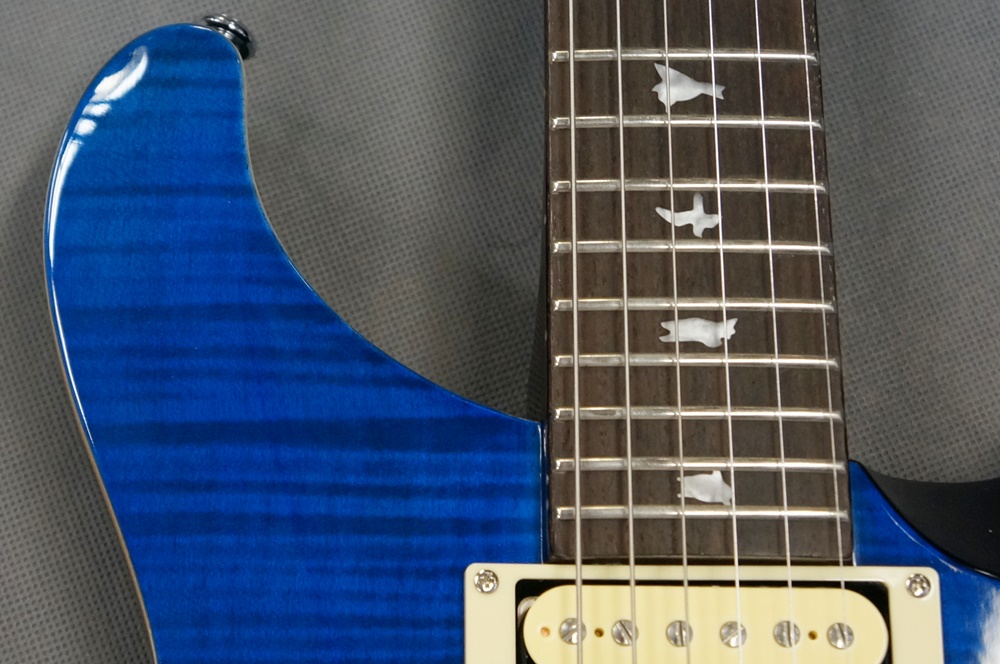 PRS SE Custom 24 Blue Matteo / 楽器屋BOW オンラインストア