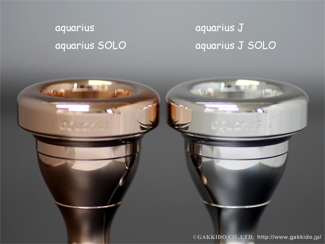 willie's トロンボーン用マウスピース 太管用 aquarius SOLO - 楽器堂