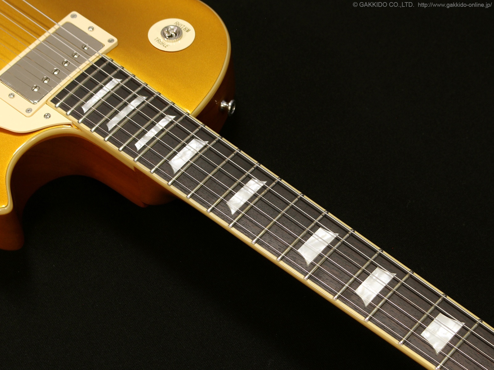 Edwards Limited Model エレキギター ゴールド Edwards Limited Model