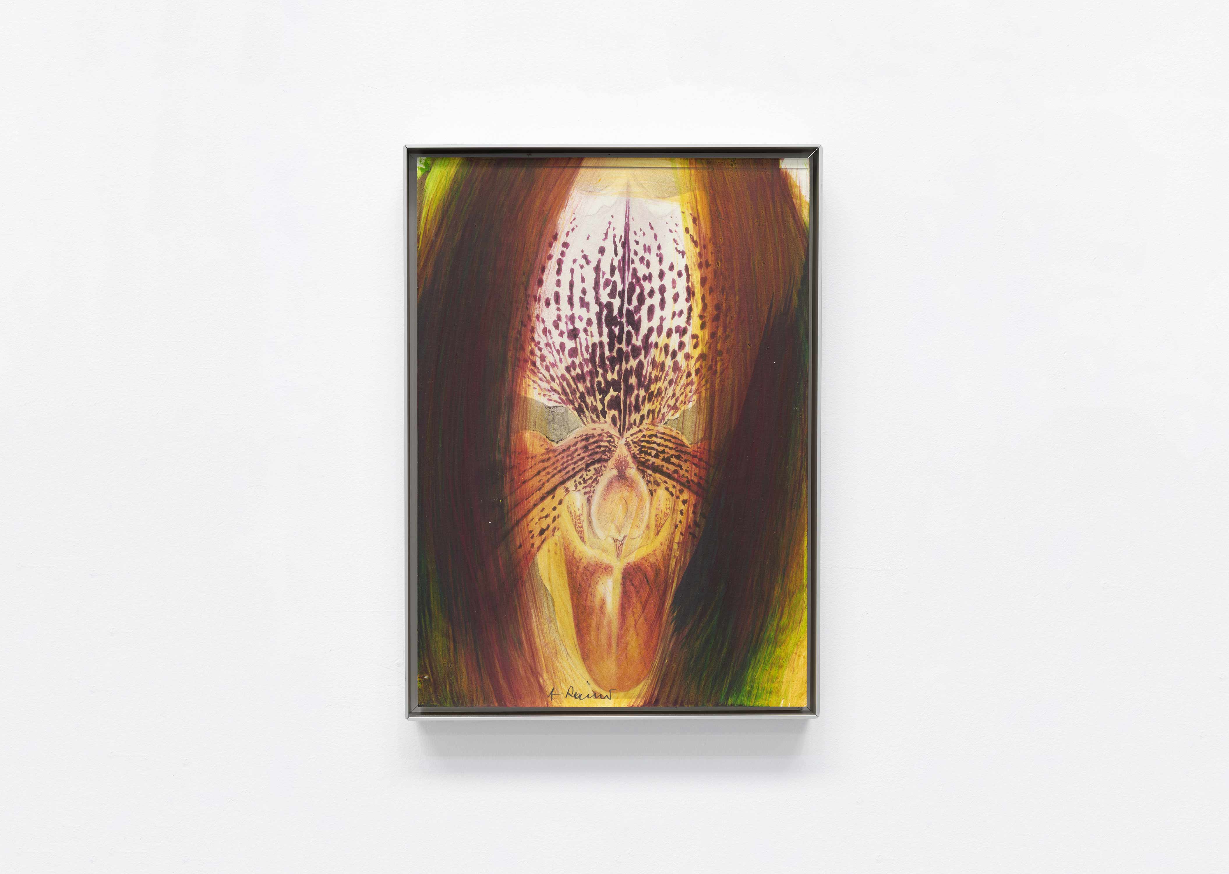 Arnulf Rainer - artiste - Galerie Lelong