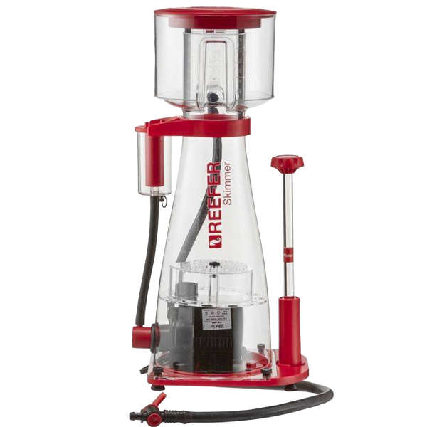 Screenshot2023-06-06at16-58-