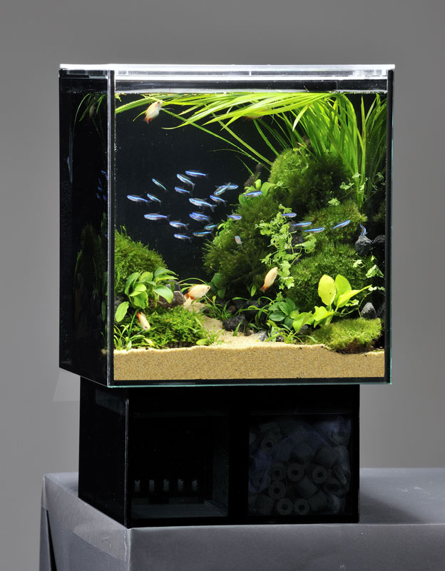 GEX グラステリア アグス AGS OF-230 オーバーフロー水槽