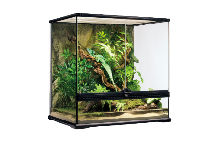 グラステラリウム 爬虫類情報 ○ グラステラリウム6030 ジェックス(GEX