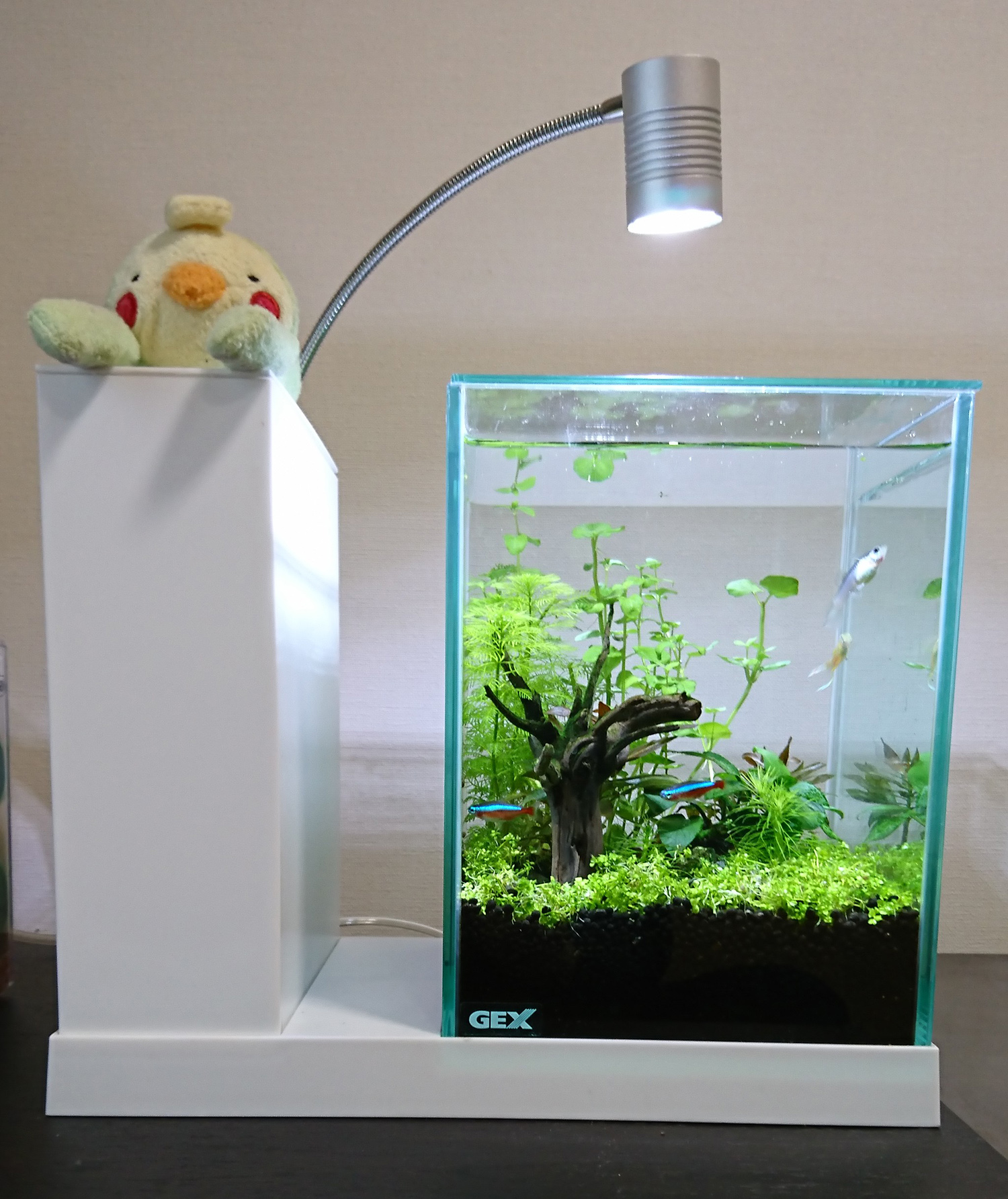 GEX AQUA-U WIDE ホワイト 【公式通販】