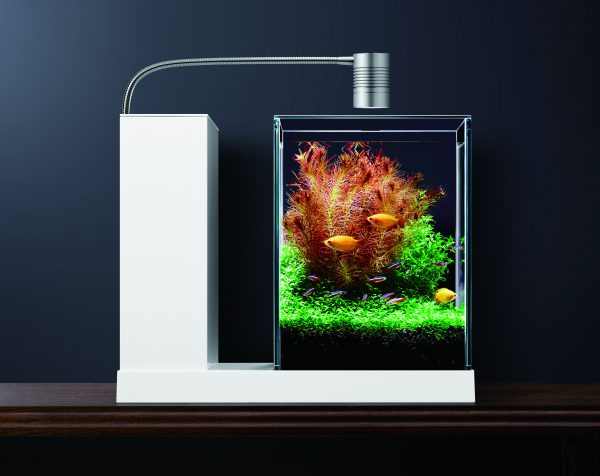 2023年】お悩み解決！～発酵式水草CO2スターターセットを使って