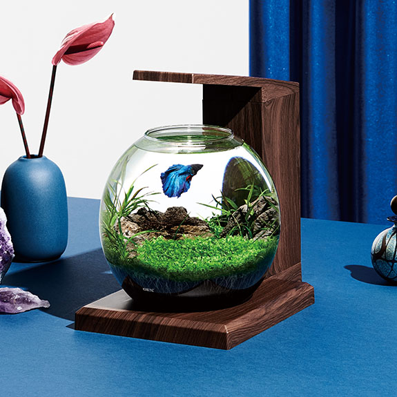 グラスアクア ペルコ ｜オールインワン水槽セット｜ジェックス