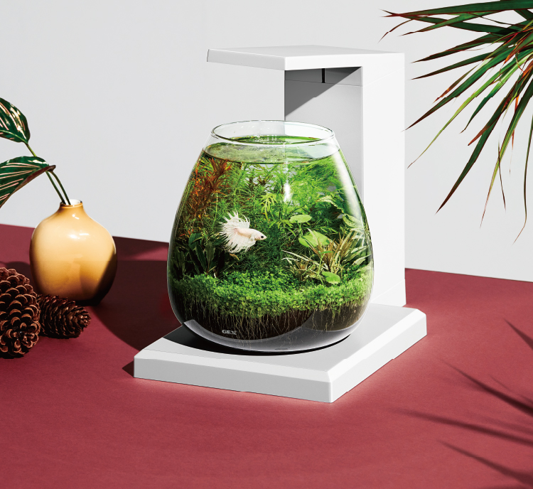 グラスアクア ペルコ ｜オールインワン水槽セット｜ジェックス