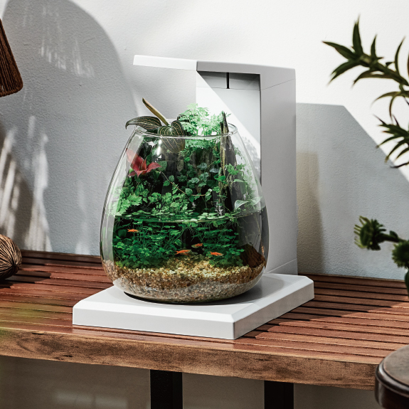 グラスアクア ペルコ ｜オールインワン水槽セット｜ジェックス