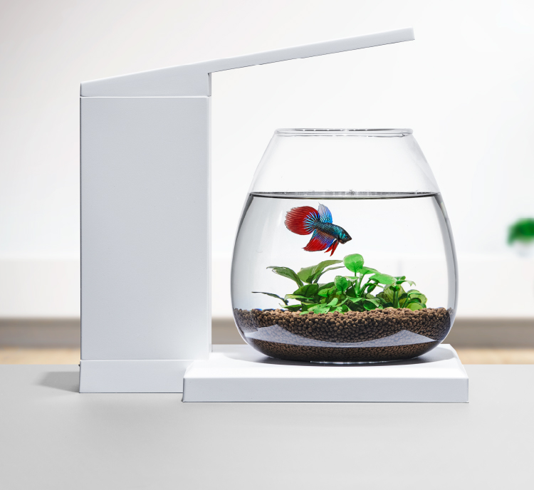 グラスアクア ペルコ ｜オールインワン水槽セット｜ジェックス