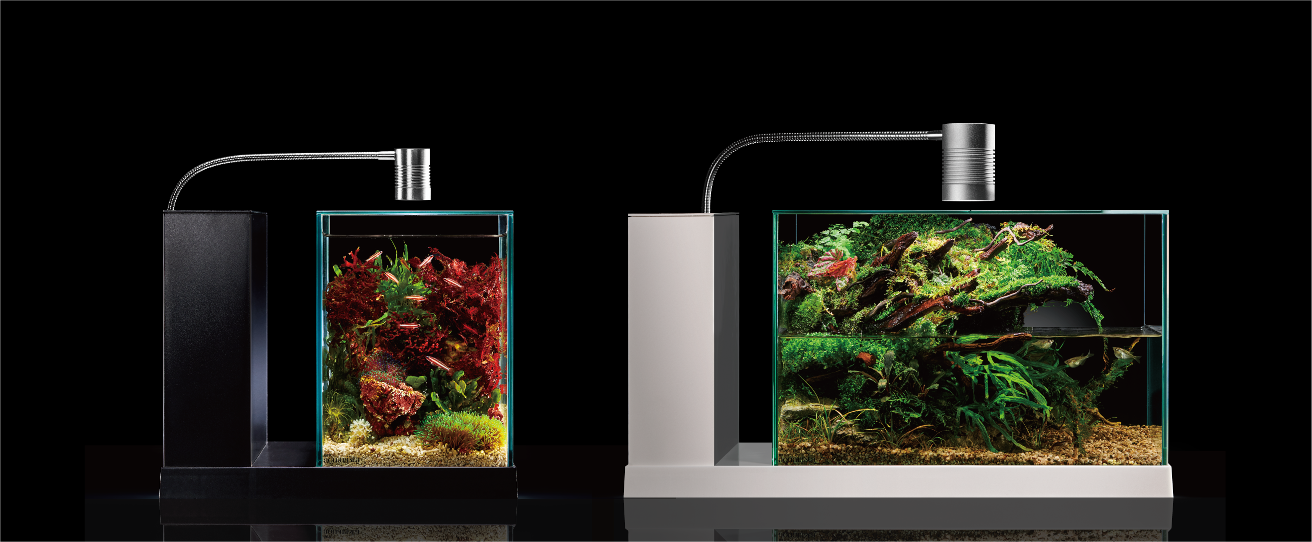 2025秋新商品「AQUA-U 2.0/ WIDE 2.0」＆「CLEAR LED RADIUS」 | GEX