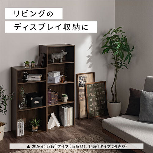 カラーボックス 3段 可動棚 本棚 ラック おしゃれ ぼん家具 ABR920129