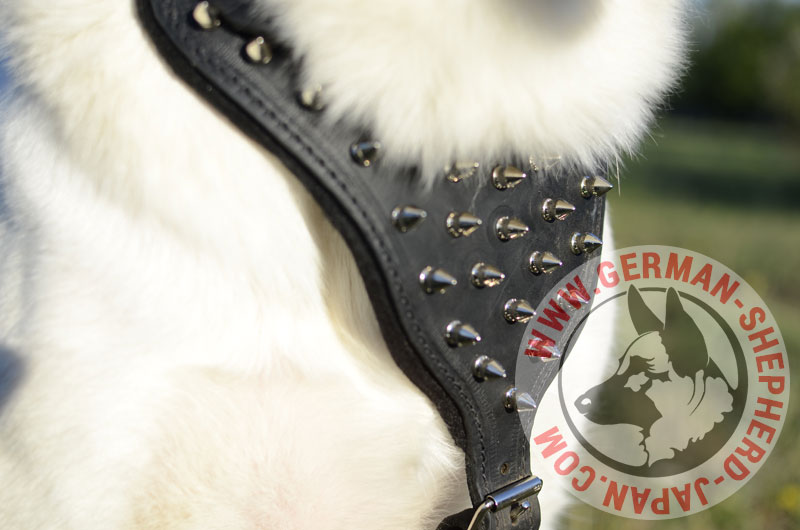 激レア DSQUARED 2 DOG Harness 犬用スタッズ付ハーネス 楽天市場