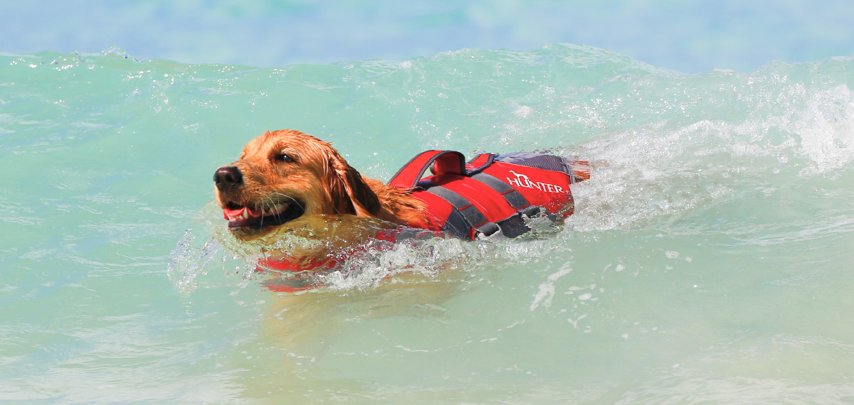 ハンター 犬用 ライフジャケット モス L(62446) | ジャーマンペット