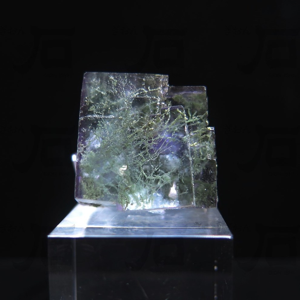 ddd9c85c47a0163f91979c9b385df6