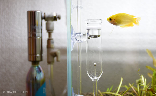 Do!aquaのCO2キットは水草水槽におすすめ！ | GRASS DESIGN