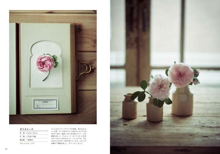 グラフィック社