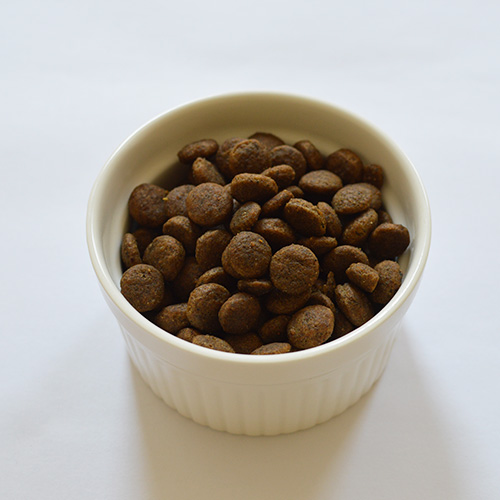 N&D パンプキン ラム ブルーベリー入り 成犬用 NADDNDP7-00 | エヌ