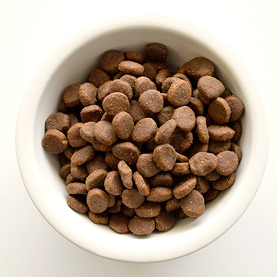 オリジン オリジナル ORIJOON1-00 | オリジン | GREEN DOG & CAT