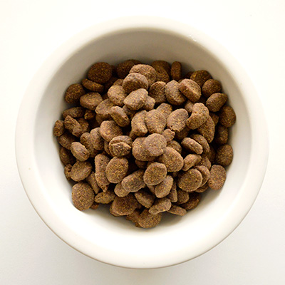 オリジン レジオナルレッド ドッグ ORIJNOR8-00 | オリジン | GREEN