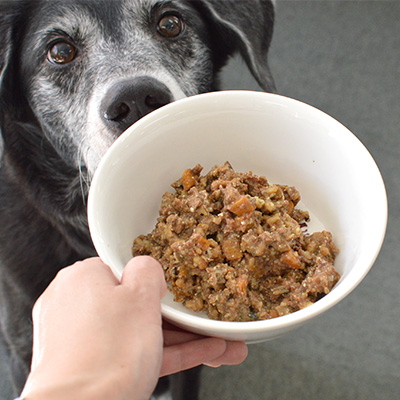 テラカニス グレインフリー 鹿肉 TRCNTFV1-00 | テラカニス | GREEN