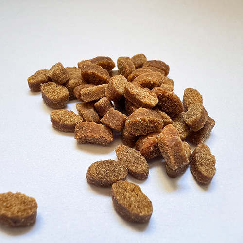 yum yum yum！ ハイシニア 13+ チキン やわらかドライタイプ YUMYYX50