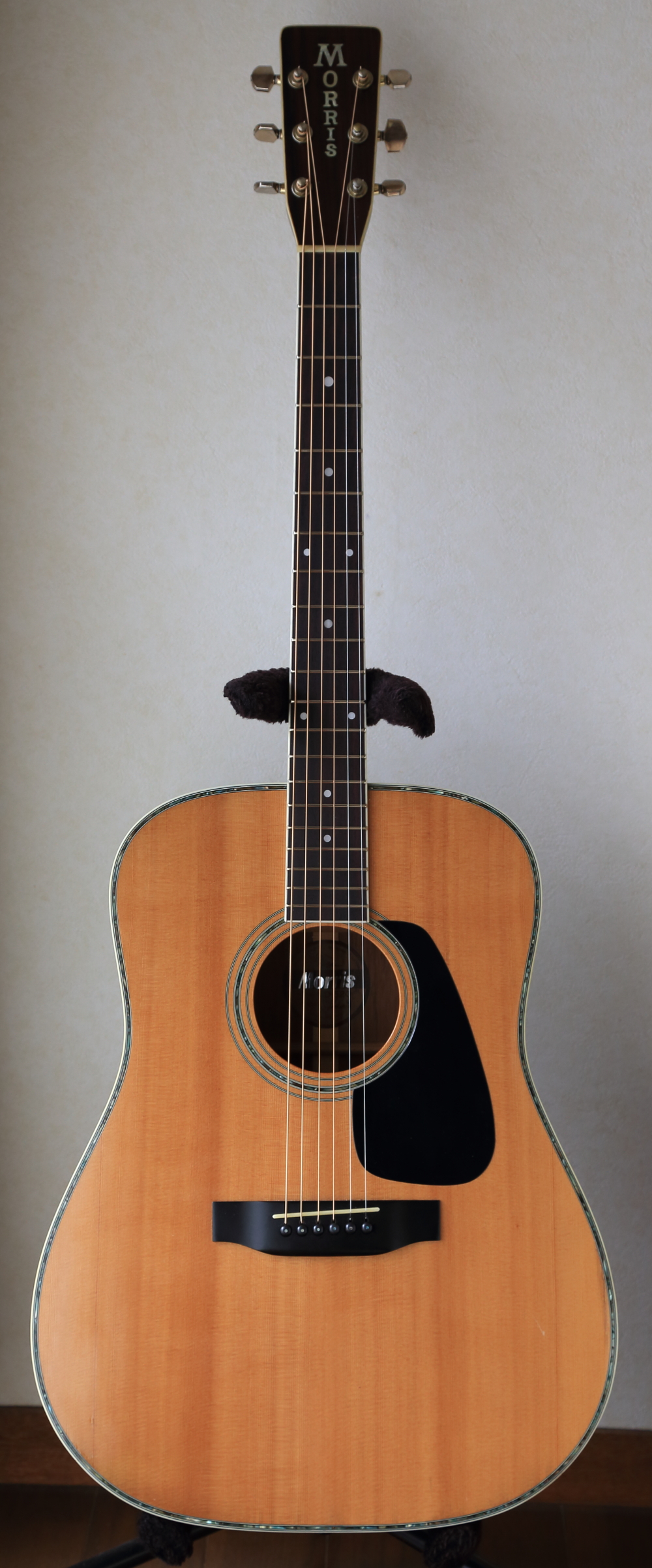 MorrisモーリスアコースティックギターMD－520