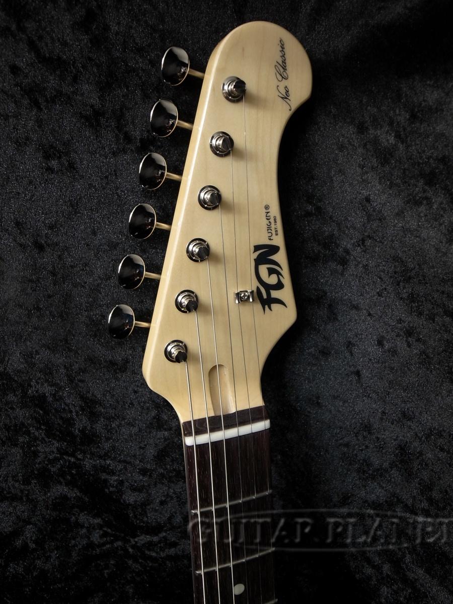 FUJIGENNTE100RAL CAG【スポットカラー】商品詳細 | ギタープラネット