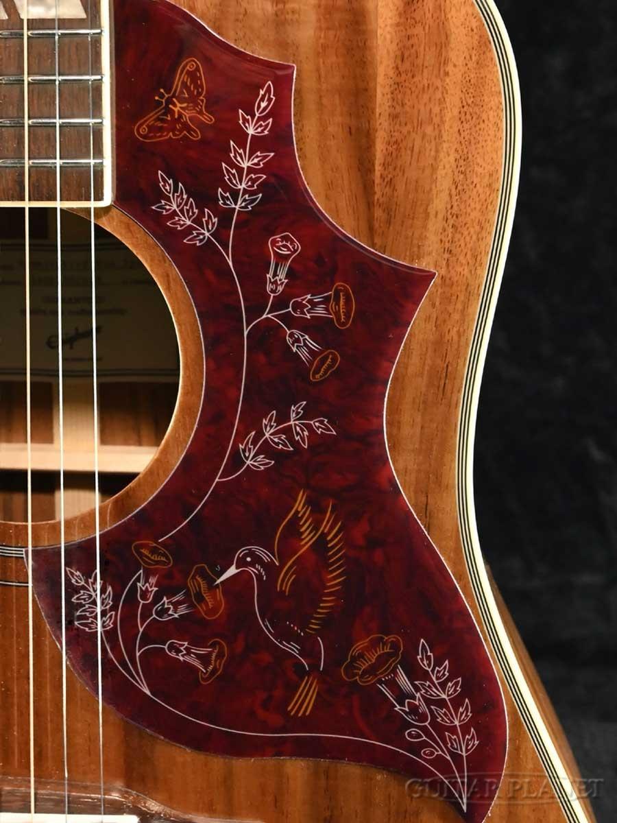 カントリーしようぜ！JAGARD ハミングバード エレアコ 音出し良好