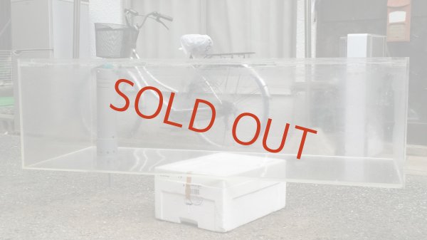 アクリル水槽 1200-600-410 ぷぅ工房 上部フィルター付き 濾過槽付き