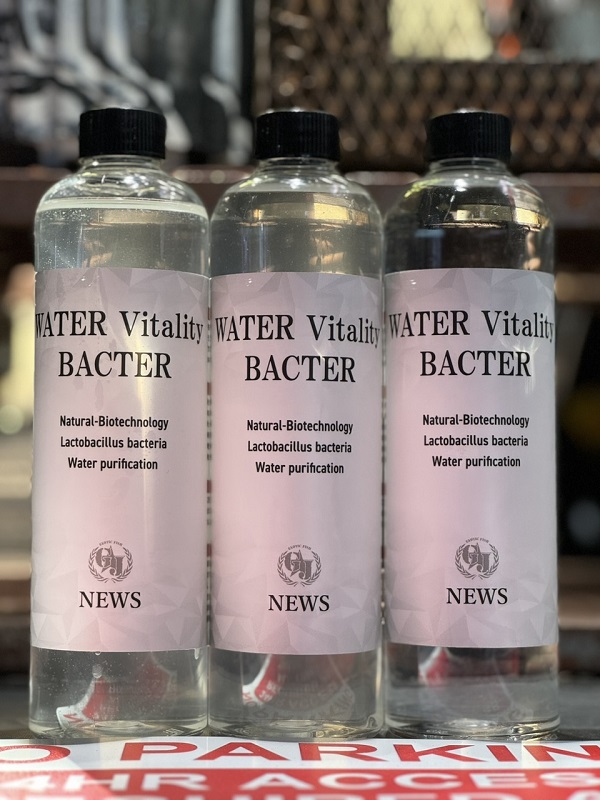 BACTER1（STD） - アジアアロワナ・アクリル水槽・淡水エイを扱う