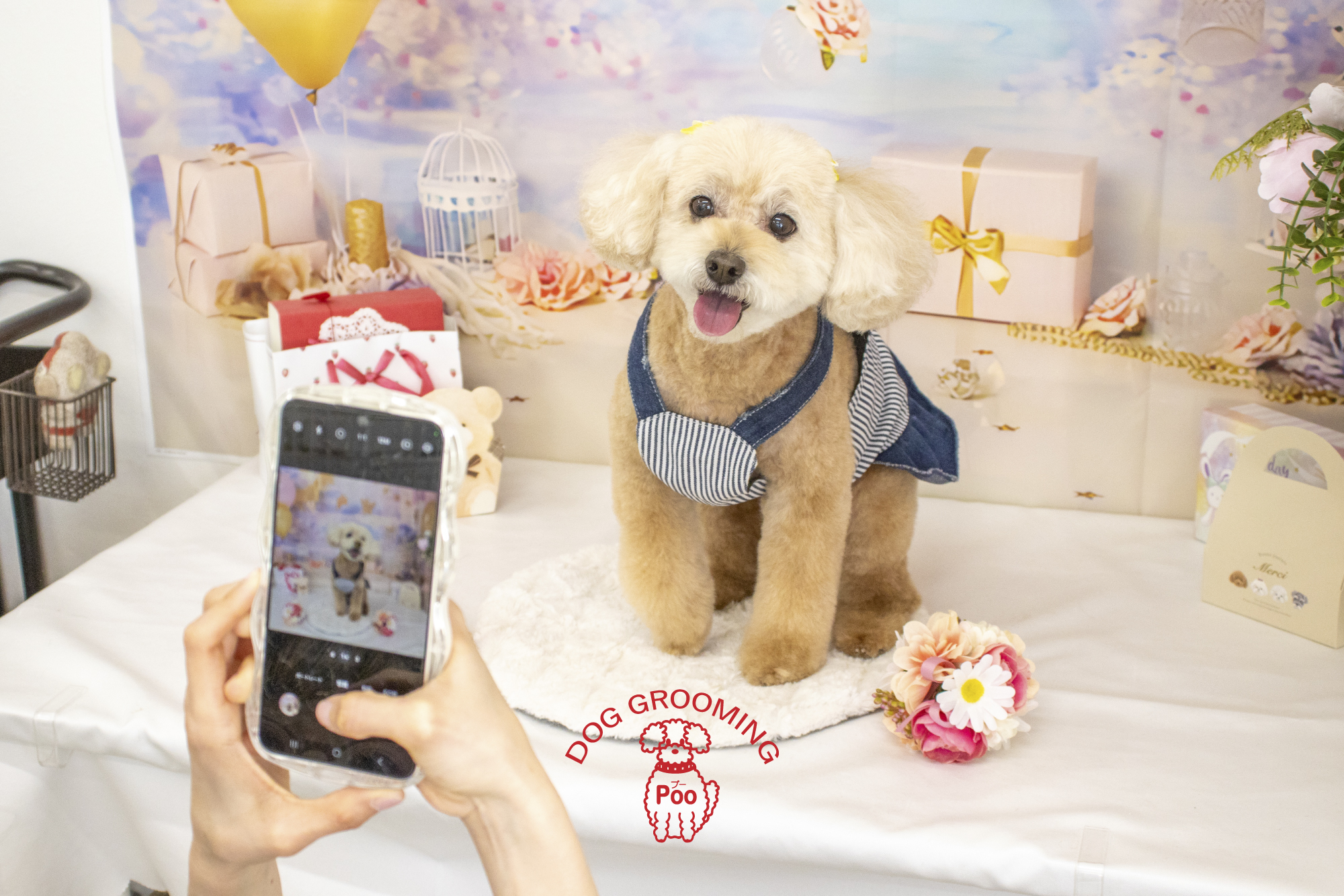 重要】料金改定についてのお知らせです（2024.11.14） | 福島市の