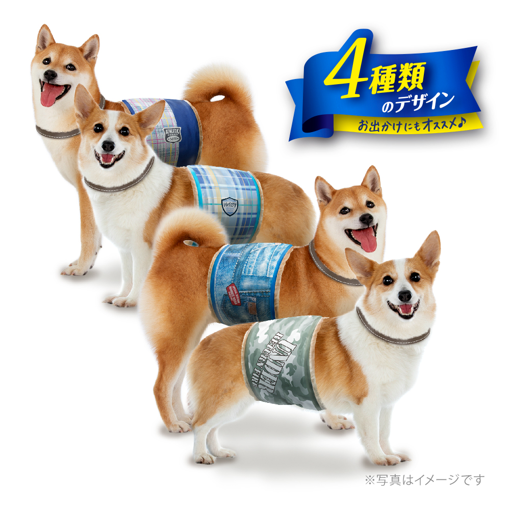 マナーウェア 男の子用 Lサイズ 4種のデザインパック4枚｜ユニ