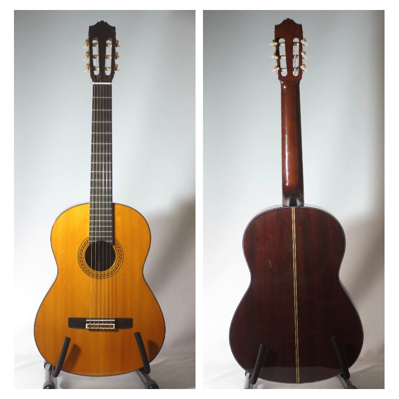 Yamaha 【CG-150SA / ヤマハガット】 | D-plus-stock