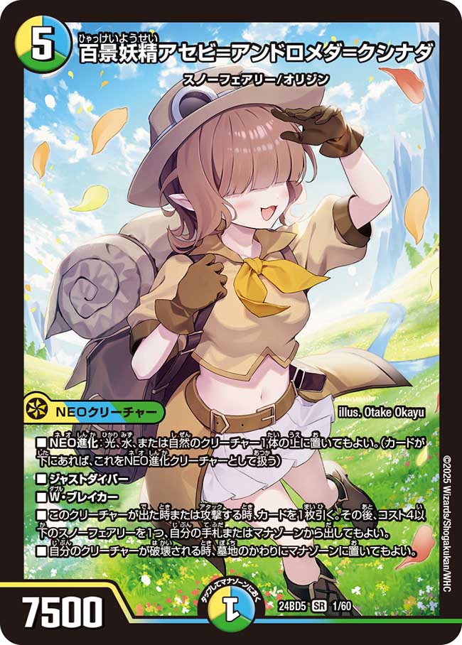 専用です。14箱 アセビと異世界フェアリー達 デュエルマスターズ