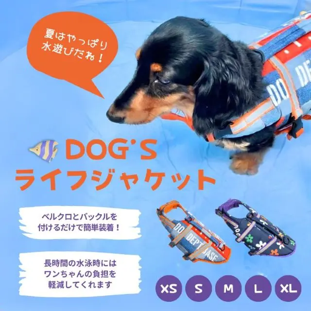 特集一覧 犬服・ドッグウェアブランド通販 | DOG DEPT(ドッグデプト)公式