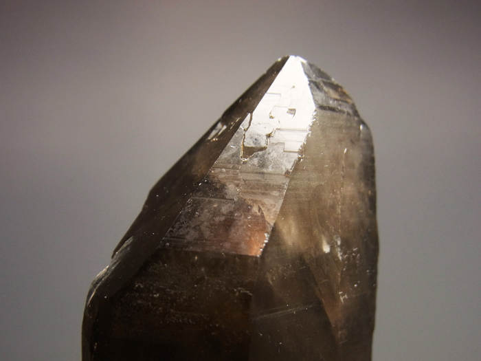 滋賀県田上山産 煙水晶 (Smoky Quartz / Japan) - 鉱物標本販売店