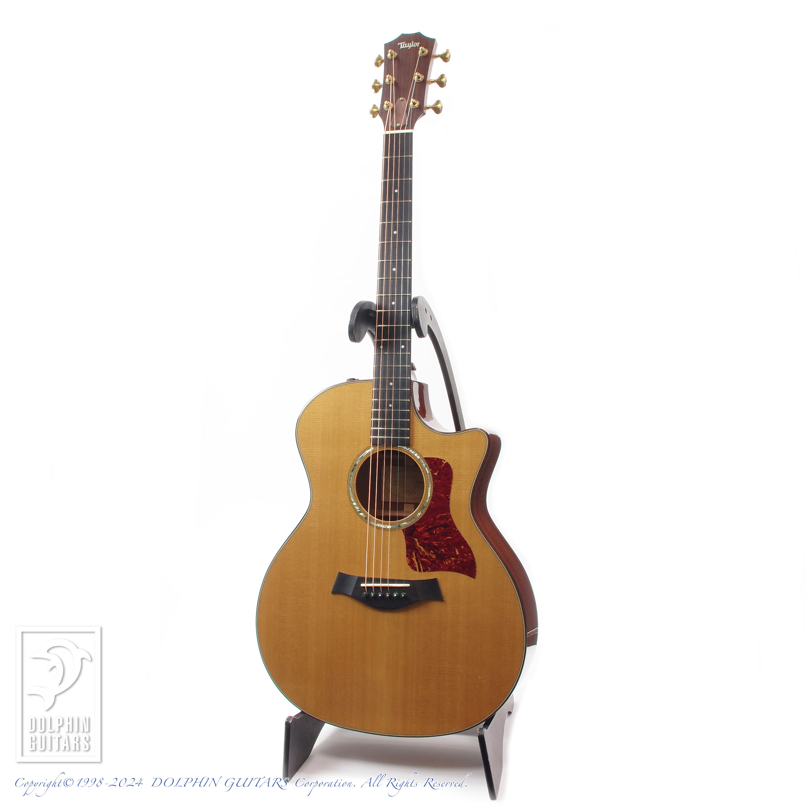 TAYLOR 514ce |ドルフィンギターズ