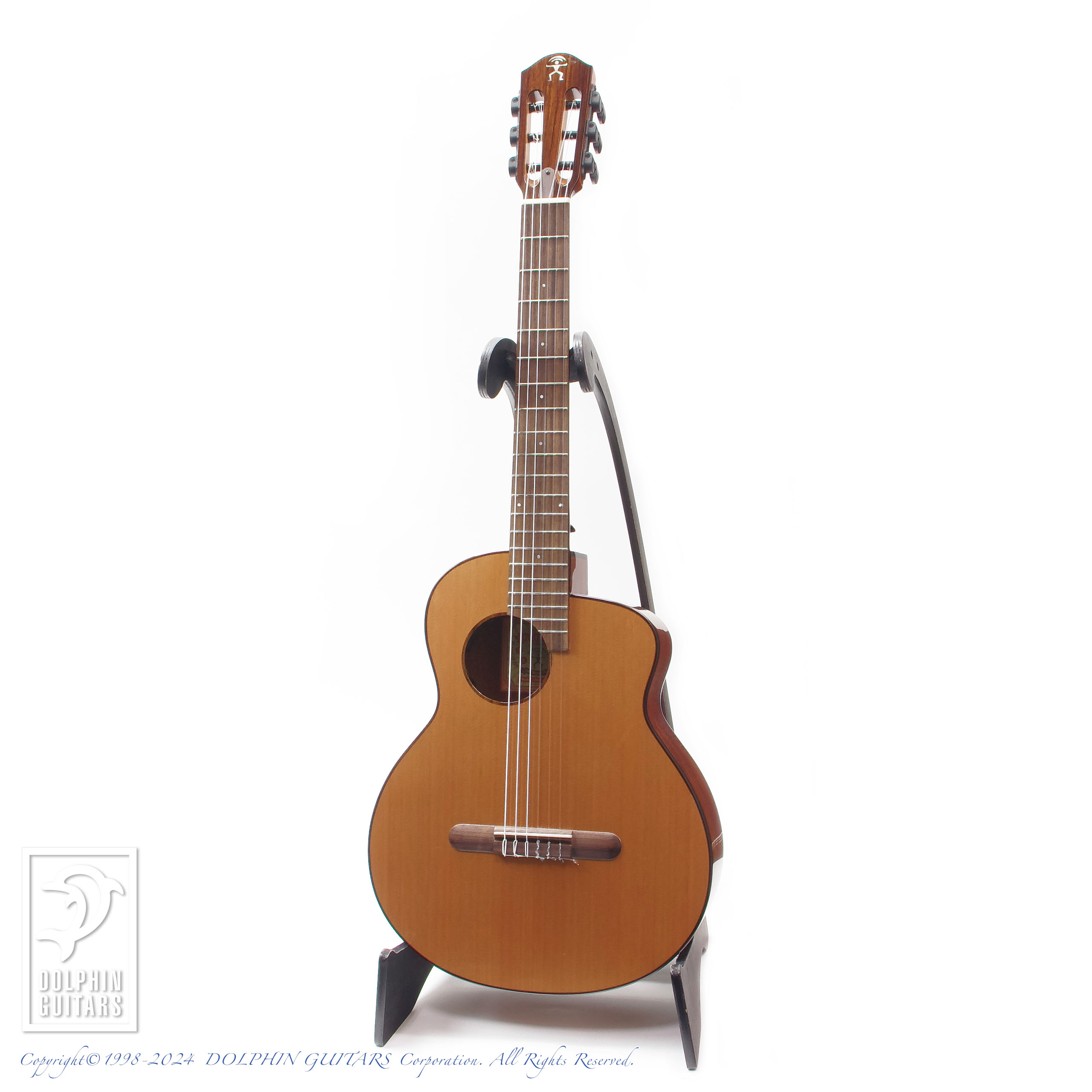 aNueNue aNN-MN14E (Electric Nylon Strings)|ドルフィンギターズ