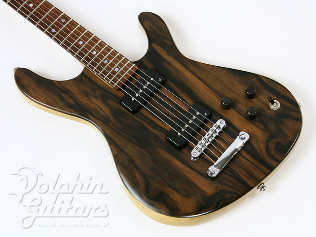 SAGO Sonia|ドルフィンギターズ